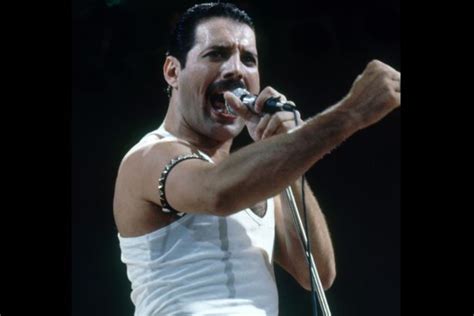 what happened to freddie mercury.